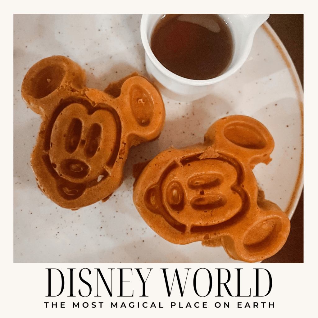 The Most Magical Place on Earth: Walt Disney World “Kind of” Travel&nbsp;Guide